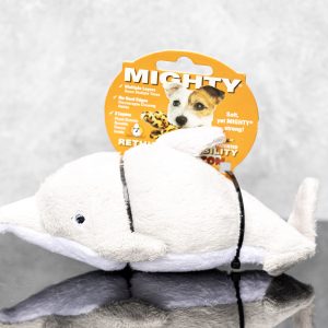 Pet Toys