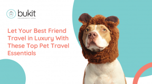 Let Your Best Friend Travel in Luxury With These Top Pet Travel Essentials