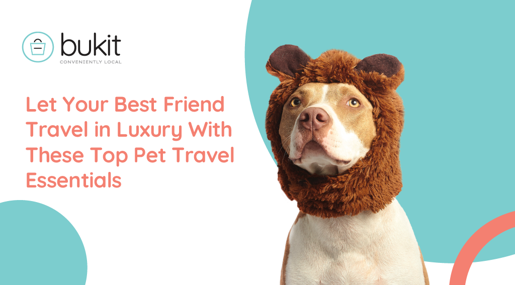 Let Your Best Friend Travel in Luxury With These Top Pet Travel Essentials