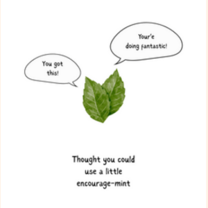 Encourage-mint Greeting Card