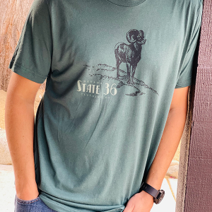 Triblend Tee - Bighorn
