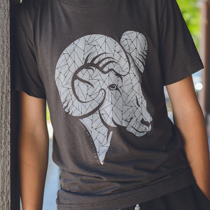 Triblend Tee - Bighorn