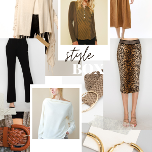 PRE-ORDER The Winter Style Box is HERE!